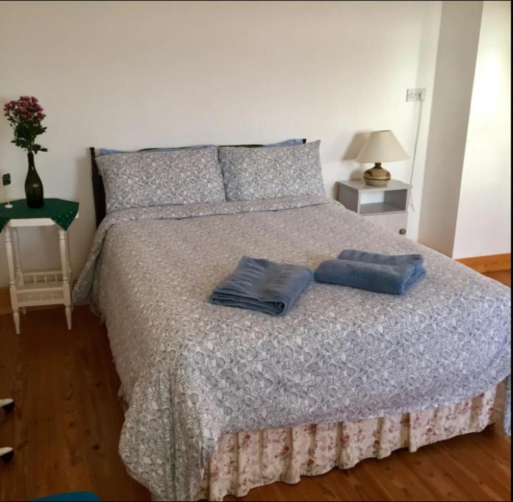 リスカナー Ballyv Houseヴィラ エクステリア 写真