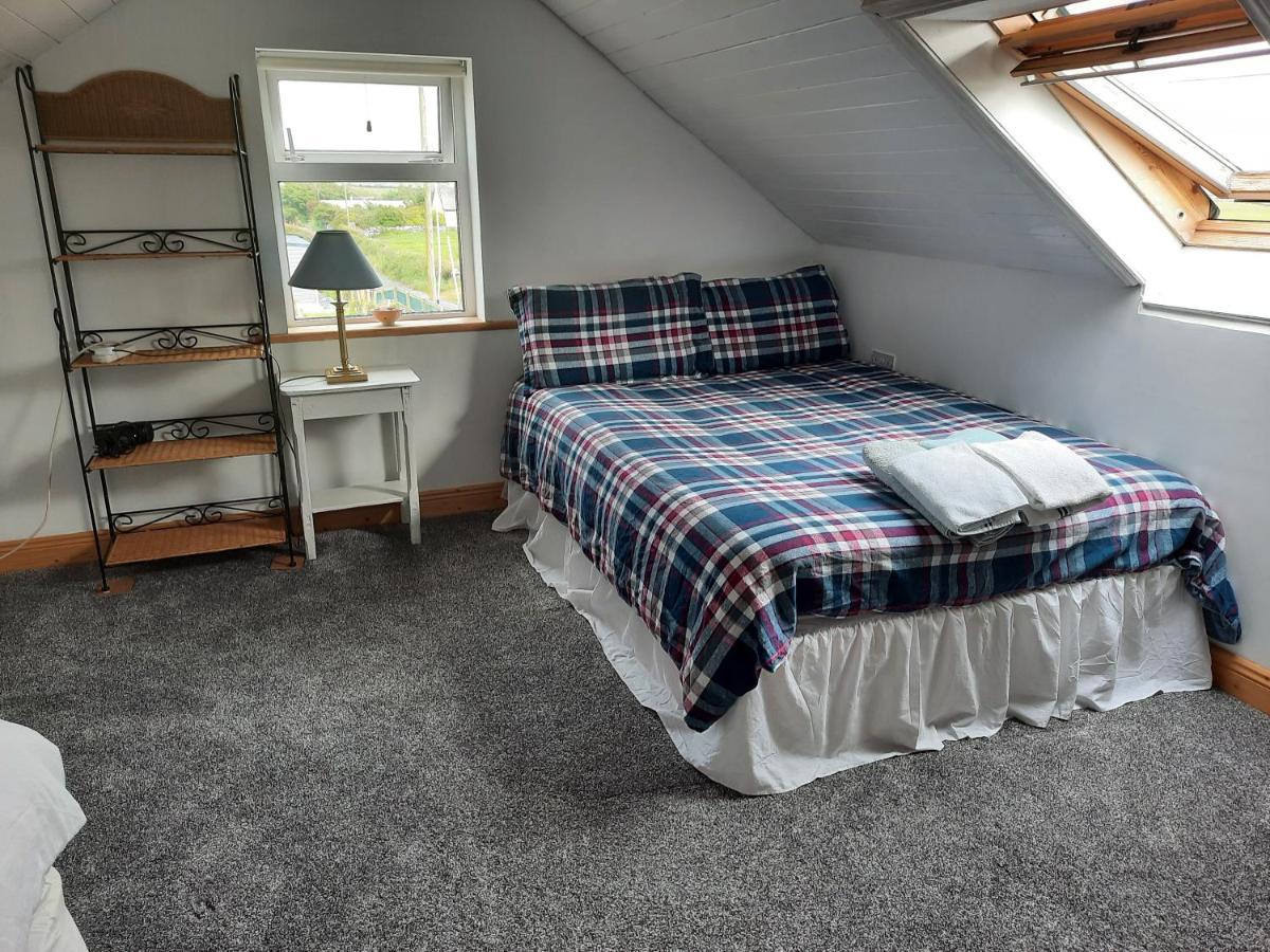 リスカナー Ballyv Houseヴィラ エクステリア 写真