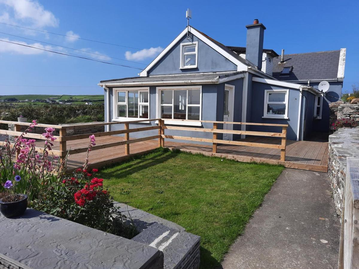 リスカナー Ballyv Houseヴィラ エクステリア 写真
